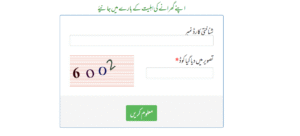 8171webportal
